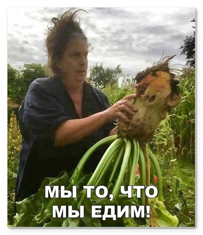 Мы то, что мы едим!