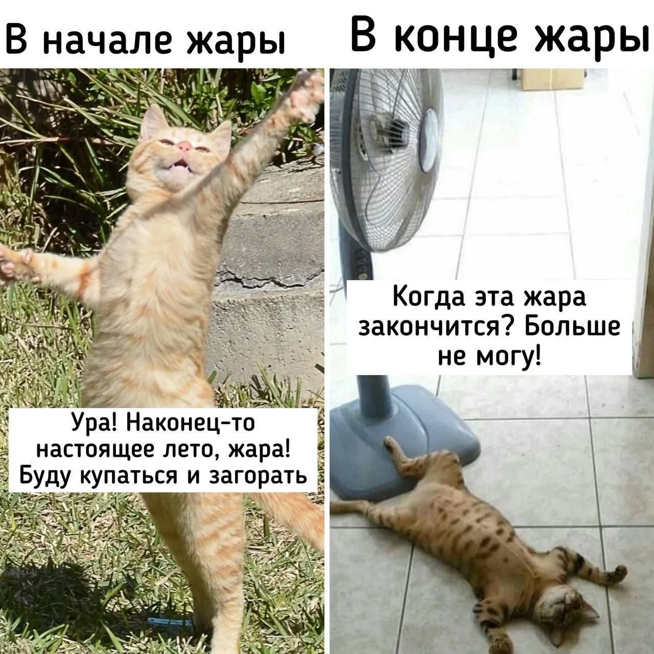 В начале жары Ура! Наконец-то настоящее лето, жара! Буду купаться и загорать.
В конце жары Когда эта жара закончится? Больше не могу!