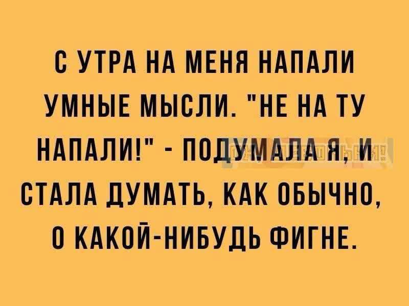 С УТРА НА МЕНЯ НАПАЛИ УМНЫЕ МЫСЛИ. 