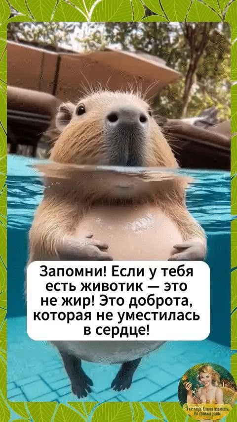 Запомни! Если у тебя есть животик – это не жир! Это доброта, которая не уместилась в сердце!