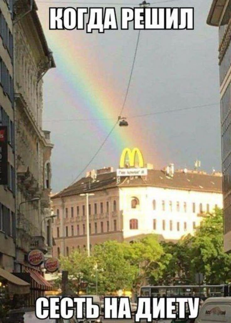 когда решил
сесть на диету