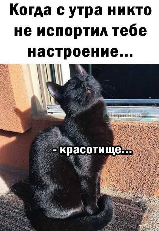 Когда с утра никто не испортил тебе настроение...
- красотищще...