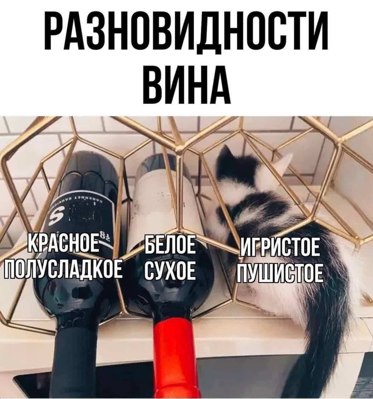РАЗНОВИДНОСТИ ВИНА
КРАСНОЕ
ПОЛУСЛАДКОЕ
БЕЛОЕ
СУХОЕ
ИГРИСТОЕ
ПУШИСТОЕ