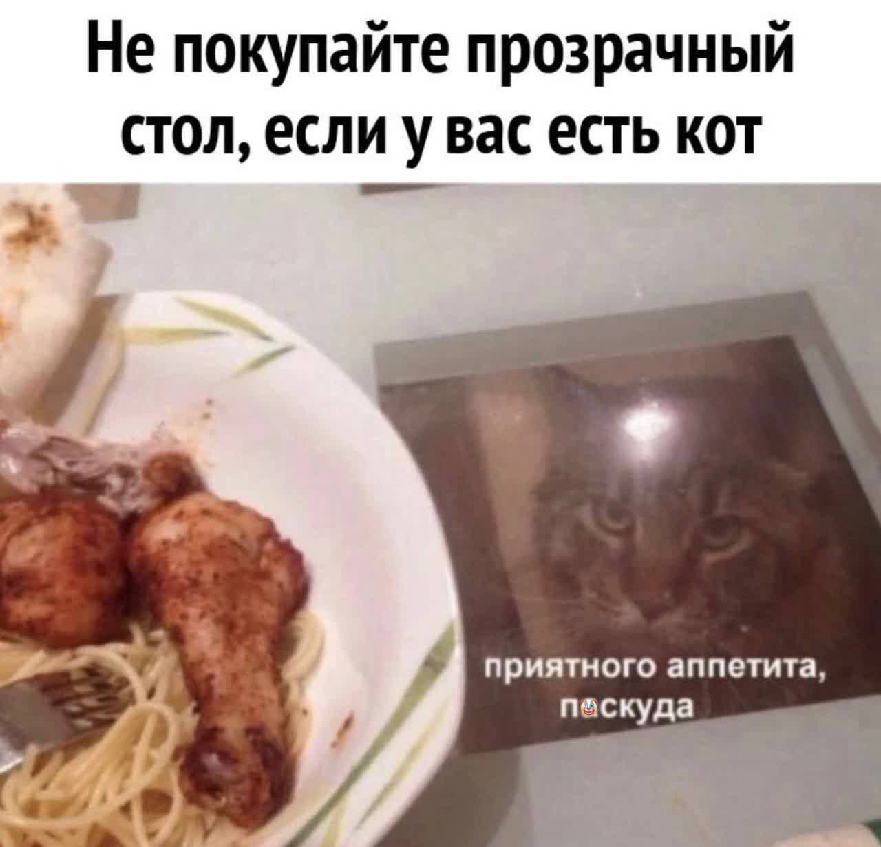 Не покупайте прозрачный стол, если у вас есть кот
приятного аппетита, поскуда