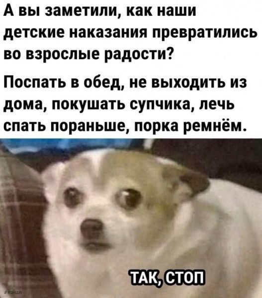 А вы заметили, как наши детские наказания превратились во взрослые радости? Поспать в обед, не выходить из дома, кушать супчика, лечь спать пораньше, порка ремнём. ТАК, СТОП