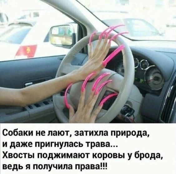 Собаки не лают, затихла природа, и даже пригнулась трава... Хвосты поджимают коровы у бродa, ведь я получила права!!!