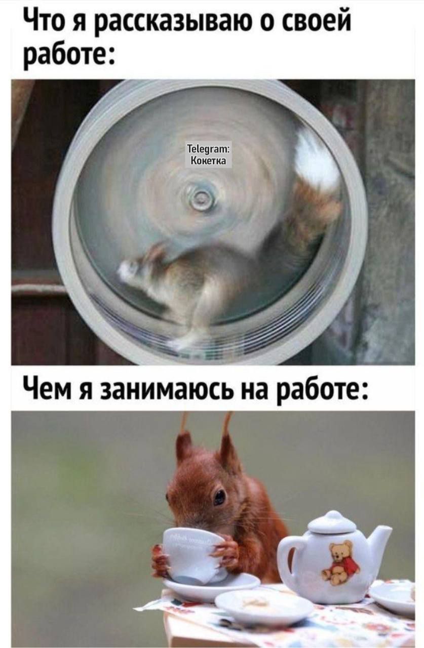 Что я рассказываю о своей работе: Чем я занимаюсь на работе: