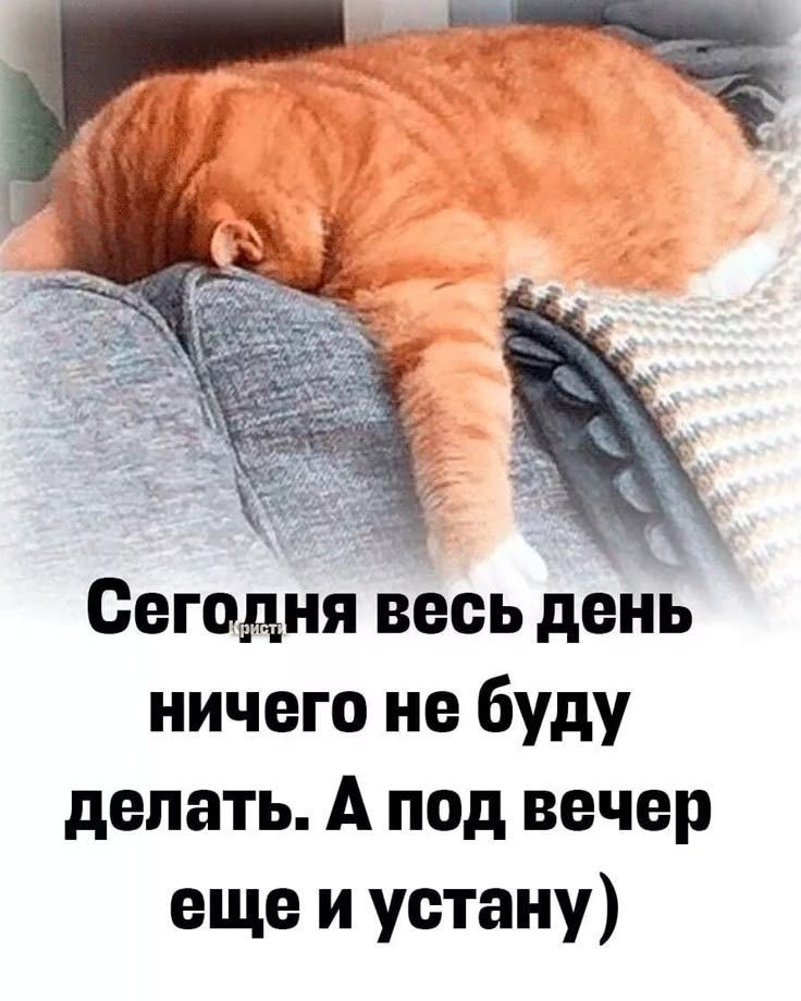 Сегодня весь день ничего не буду делать. А под вечер еще и встану)