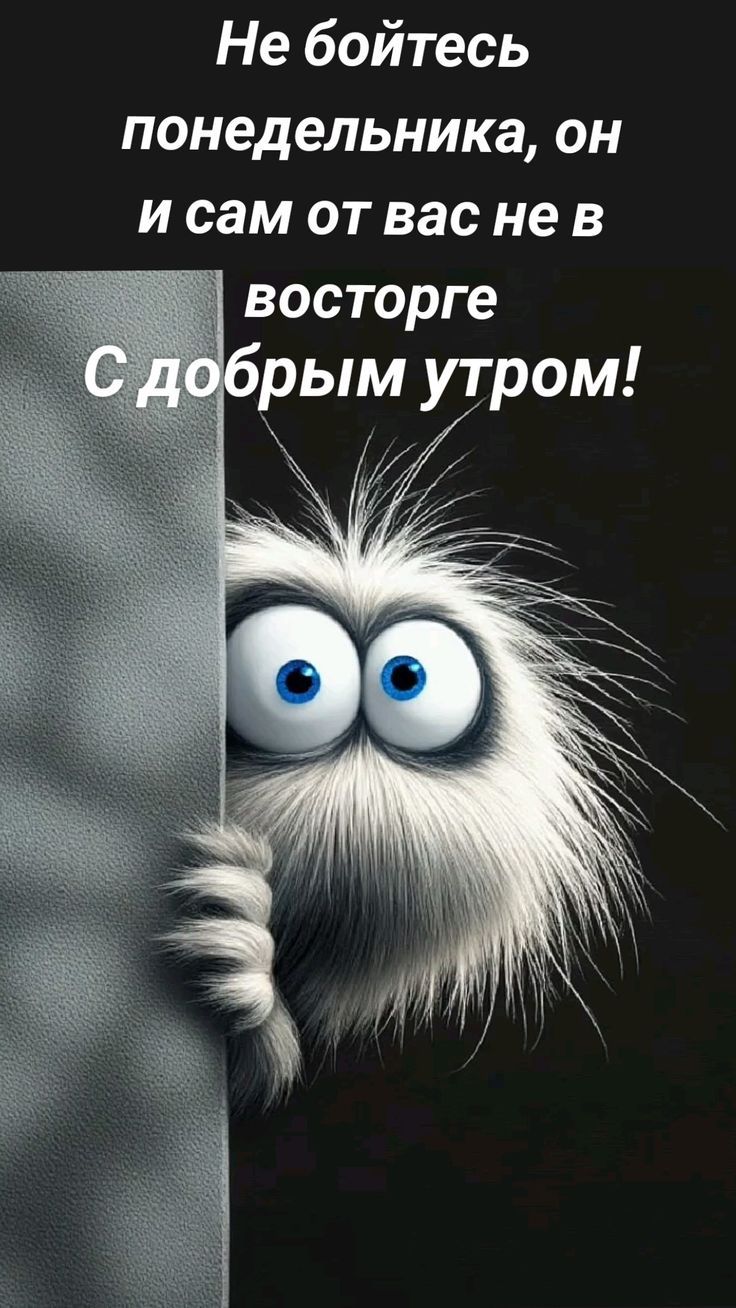Не бойтесь понедельника, он и сам от вас не в восторге
С добрым утром!