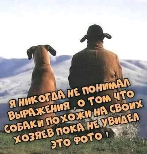 Я никогда не понимал выражения о том, что собаки похожи на своих хозяев, пока не увидел это фото!