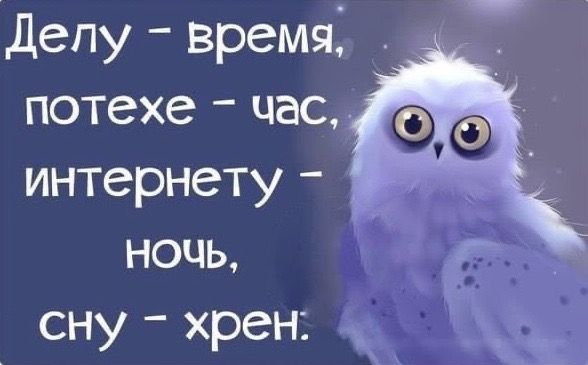 Делу – время, потехе – час, интернету – ночь, сну – хрен.