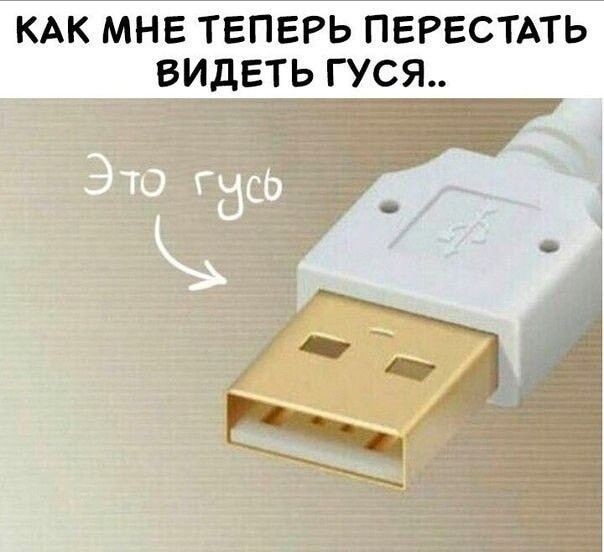 КАК МНЕ ТЕПЕРЬ ПЕРЕСТАТЬ ВИДЕТЬ ГУСЯ..
Это гусь
