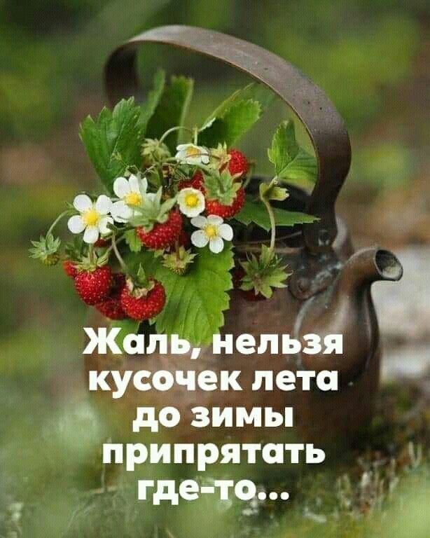 Жаль, нельзя кусочек лета до зимы припрятать где-то...