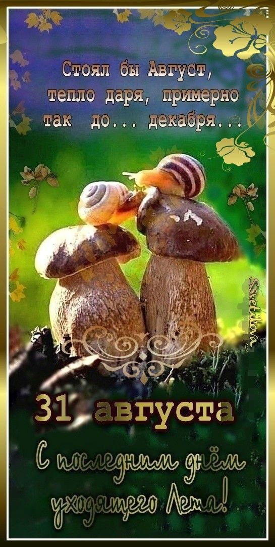 Стоял бы Август, тепло даря, примерно так до... декабря...
31 августа
С последним днём уходящего Лета!