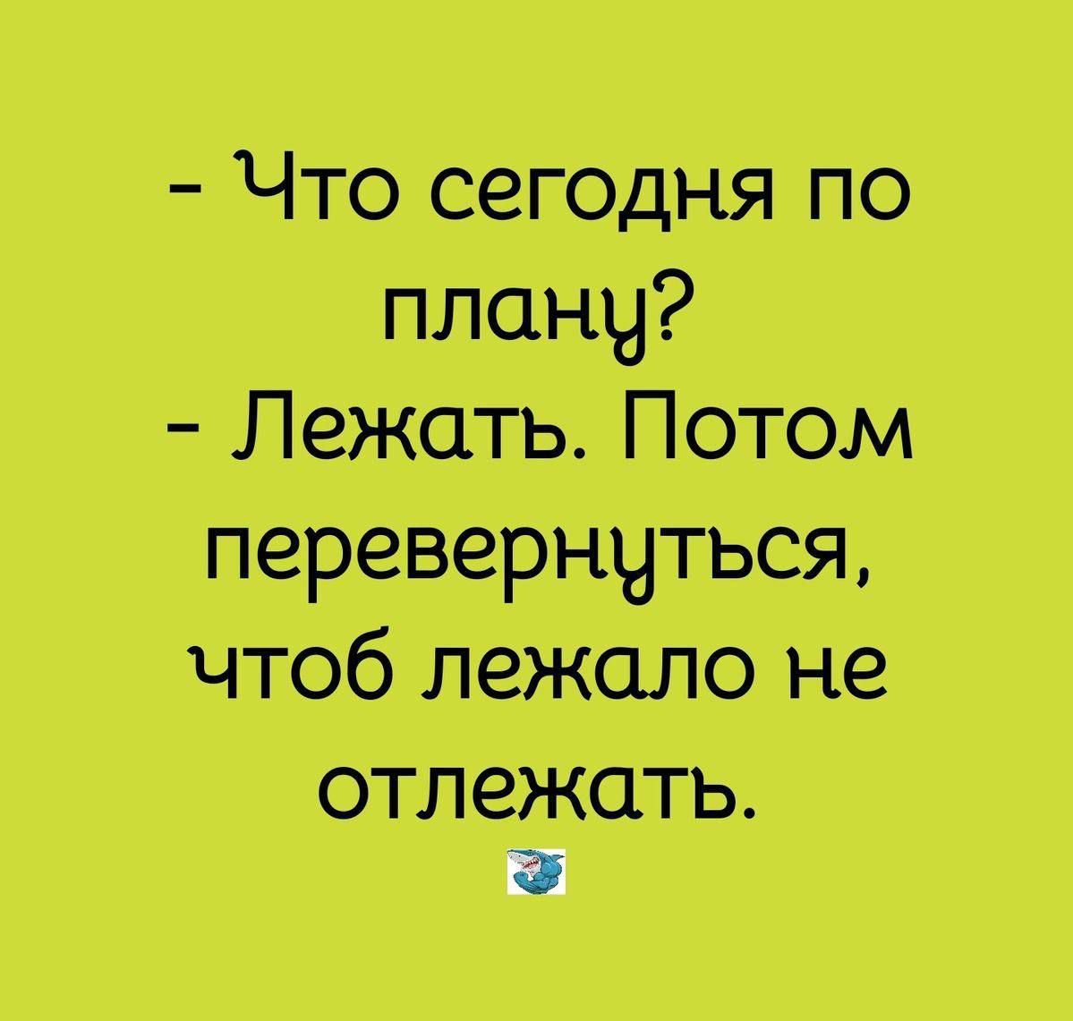 - Что сегодня по плану?
- Лежать. Потом перевернуться, чтоб лежало не отлежать.