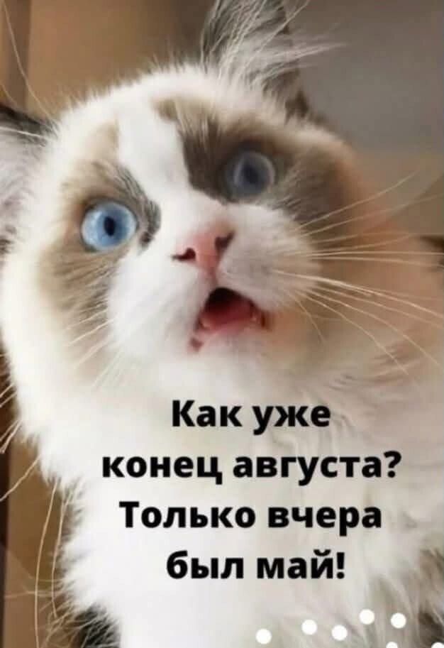 Как уже конец августа? Только вчера был май!
