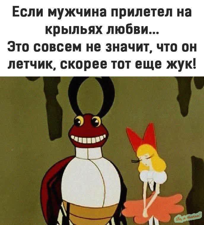 Если мужчина прилетел на крыльях любви... Это совсем не значит, что он летчик, скорее тот еще жук!