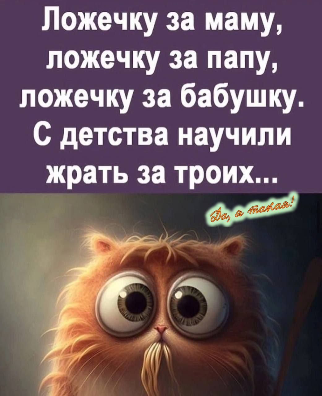 Ложечку за маму, ложечку за папу, ложечку за бабушку. С детства научили жрать за троих...