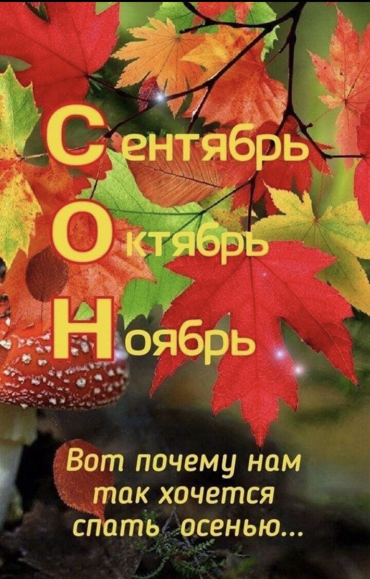 Сентябрь Октябрь Ноябрь Вот почему нам так хочется спать осенью...