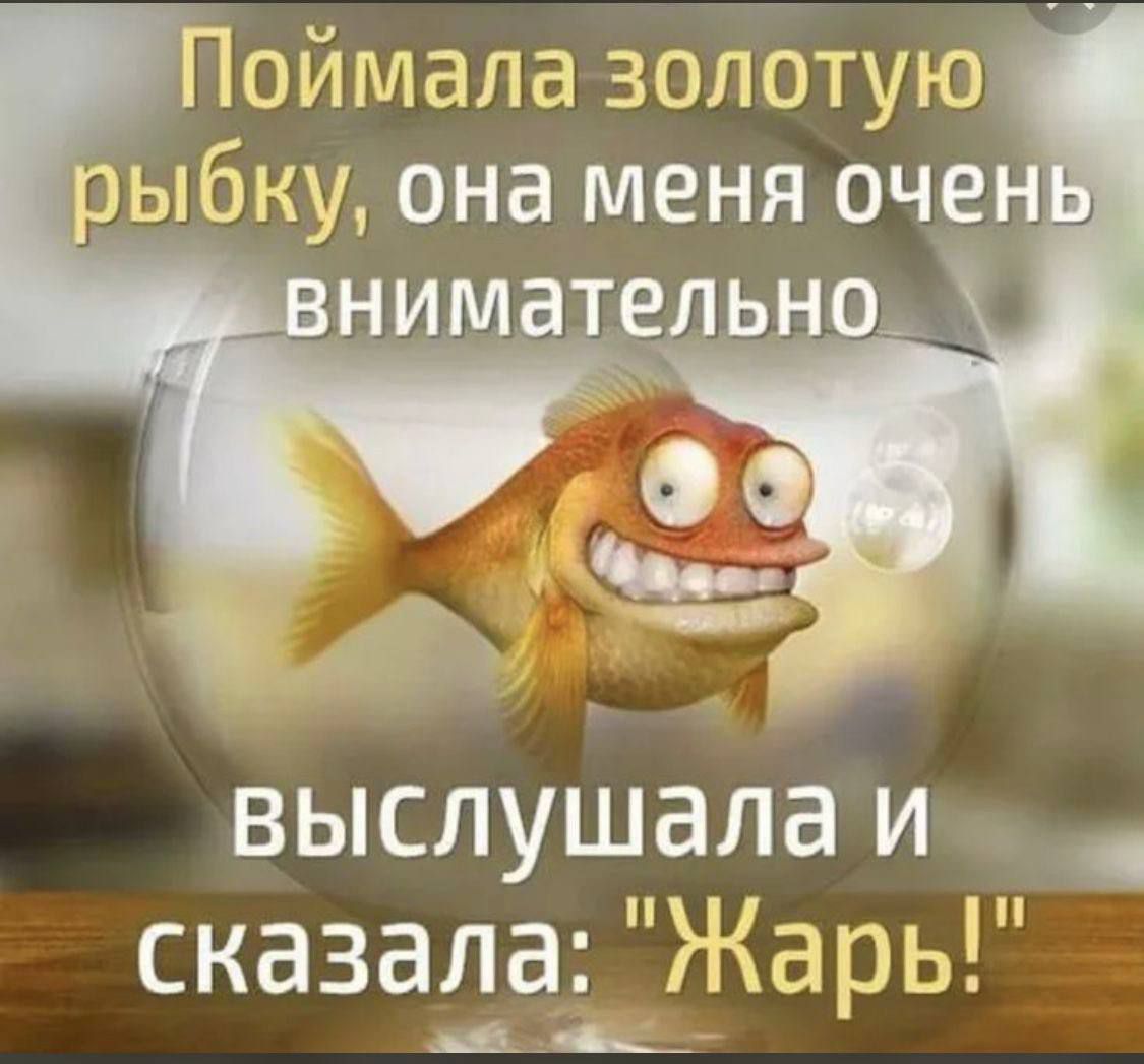 Поймала золотую рыбку, она меня очень внимательно выслушала и сказала: 