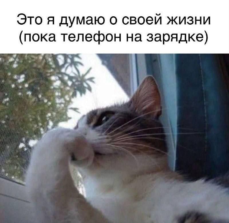 Это я думаю о своей жизни (пока телефон на зарядке)