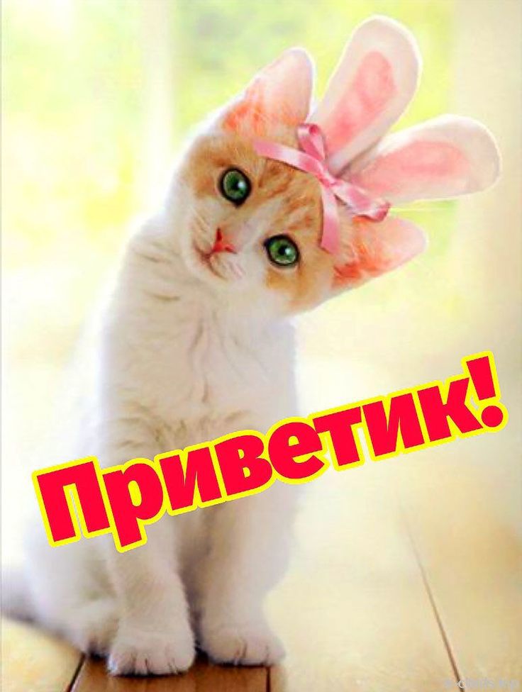 Приветик!