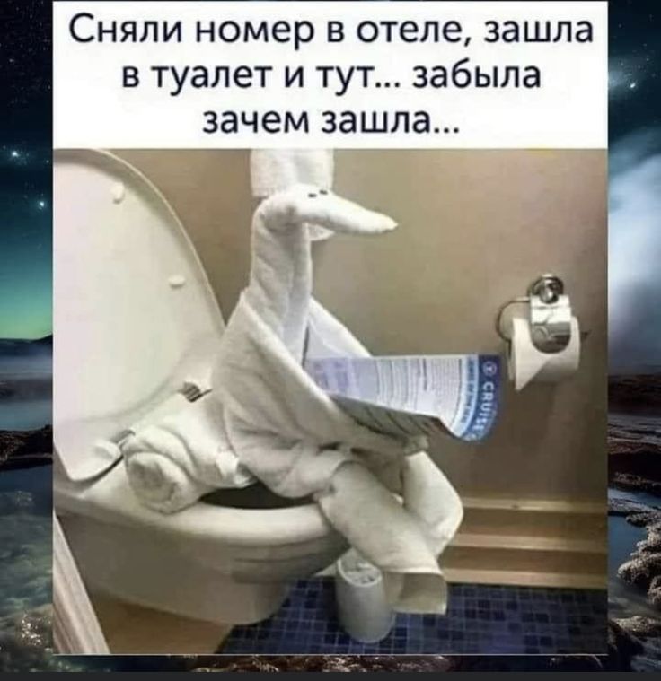 Сняли номер в отеле, зашла в туалет и тут... забыла зачем зашла...