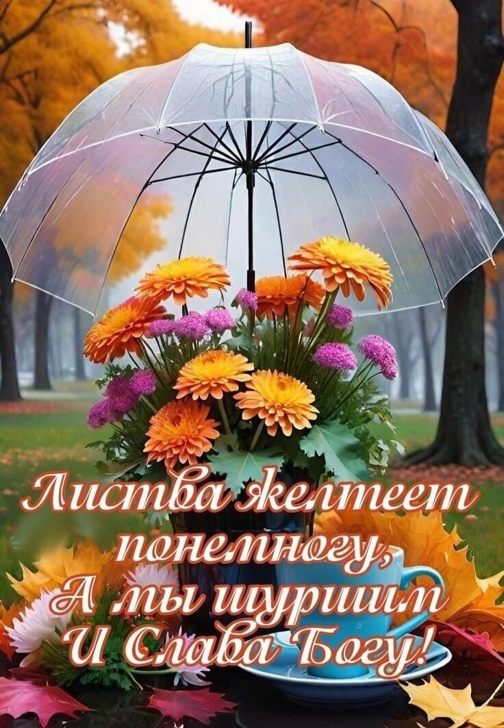 Листа желтеет по сравнению, А мы щурим И Слава Богу!