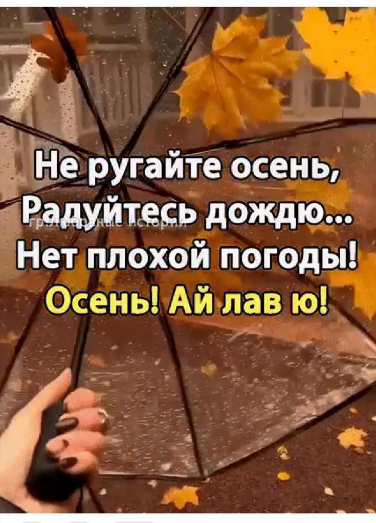 Не ругайте осень, Радуйтесь дождю... Нет плохой погоды! Осень! Ай лав ю!