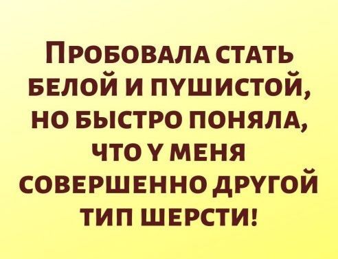 Пробовала стать белой и пушистой, но быстро поняла, что у меня совершенно другой тип шерсти!