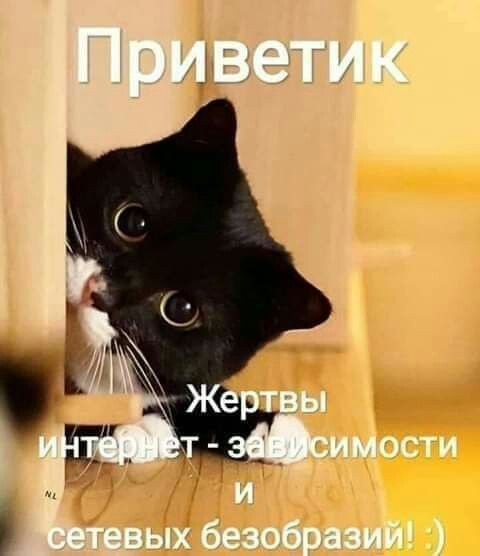 Приветик
Жертвы интернет - зависимости и сетевых безобразий! :)