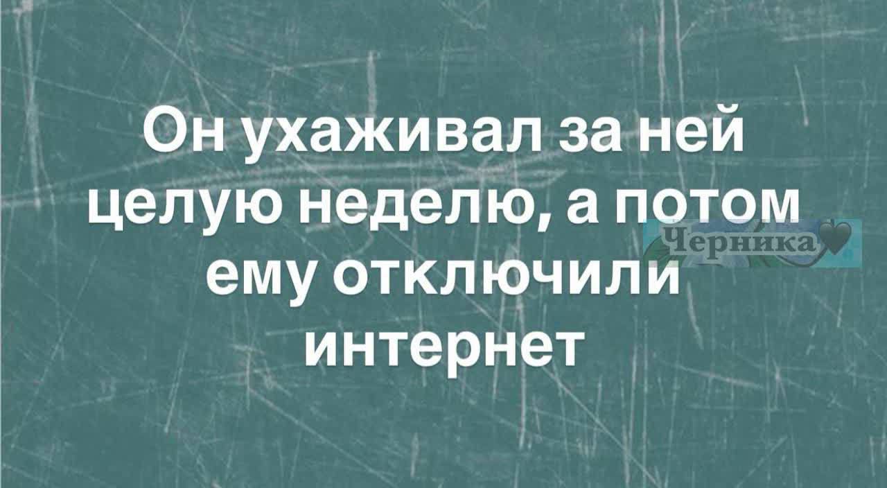 Он ухаживал за ней целую неделю, а потом ему отключили интернет