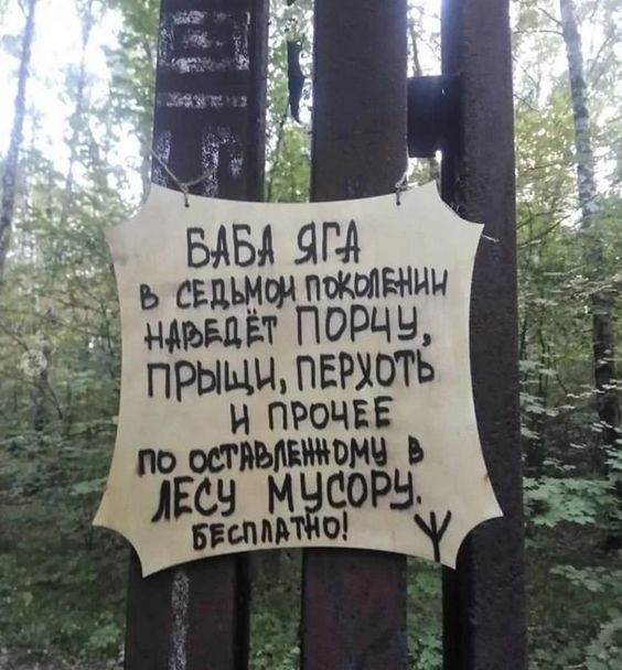 БАБА ЯГА В СЕДЬМОЙ ПОКОЛЕНИИ НАБЕДЕТ ПОРЧУ, ПРИСЦЫ, ПЕРХОТЬ И ПРОЧЕЕ ПО ОСТАВЛЕННОМУ В ЛЕСУ МУСОРУ. БЕСПЛАТНО!