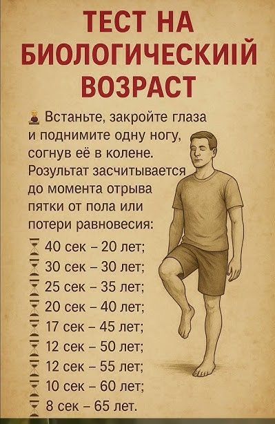 ТЕСТ НА БИОЛОГИЧЕСКИЙ ВОЗРАСТ
Встаньте, закройте глаза
и поднимите одну ногу, согнув её в колене.
Результат считается до момента отрыва
пятки от пола или потери равновесия:
40 сек – 20 лет;
30 сек – 30 лет;
25 сек – 35 лет;
20 сек – 40 лет;
17 сек – 45 лет;
12 сек – 50 лет;
12 сек – 55 лет;
10 сек – 60 лет;
8 сек – 65 лет.