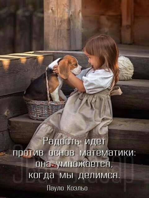 Радость идет против основ математики: она умножается, когда мы делимся. Пауло Коэльо