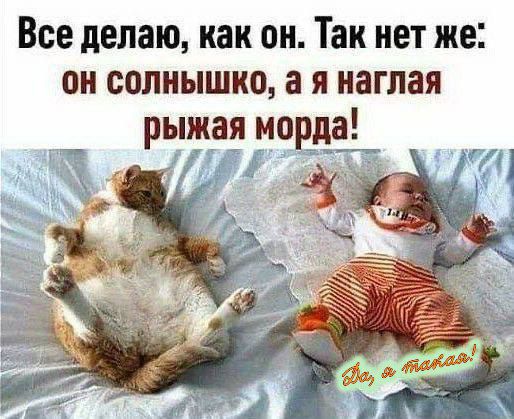 Все делаю, как он. Так нет же: он солнышко, а я наглая рыжая морда!