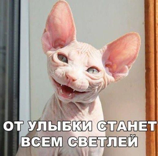 ОТ УЛЫБКИ СТАНЕТ ВСЕМ СВЕТЛЕЙ