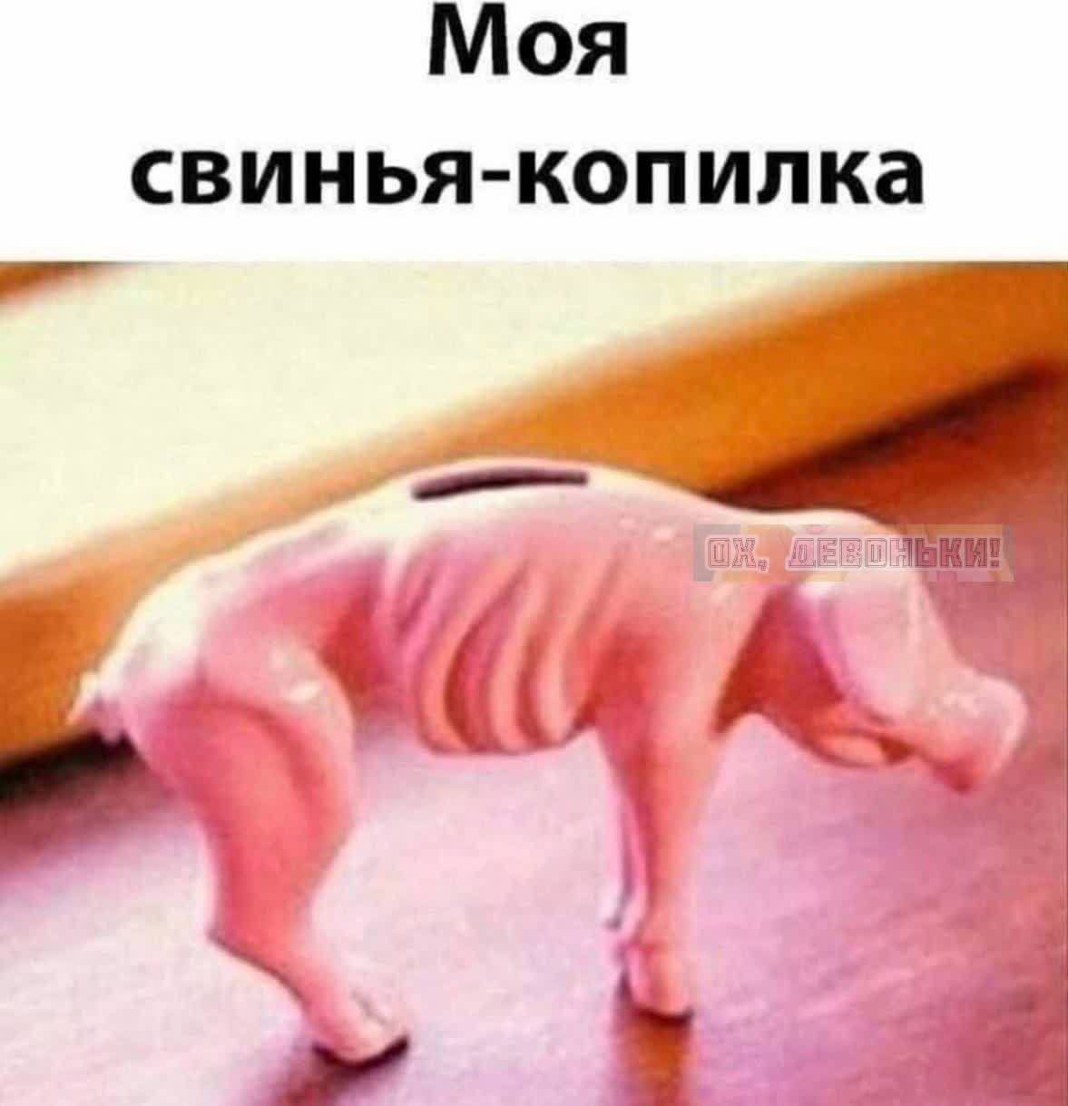 Моя свинья-копилка