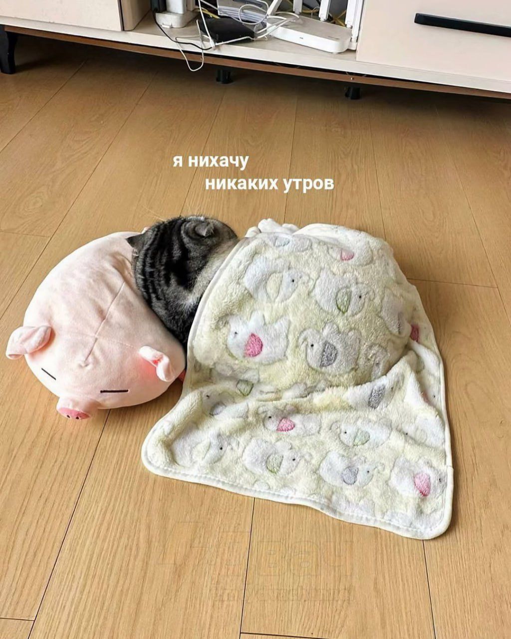 Я нихачу никаких утров