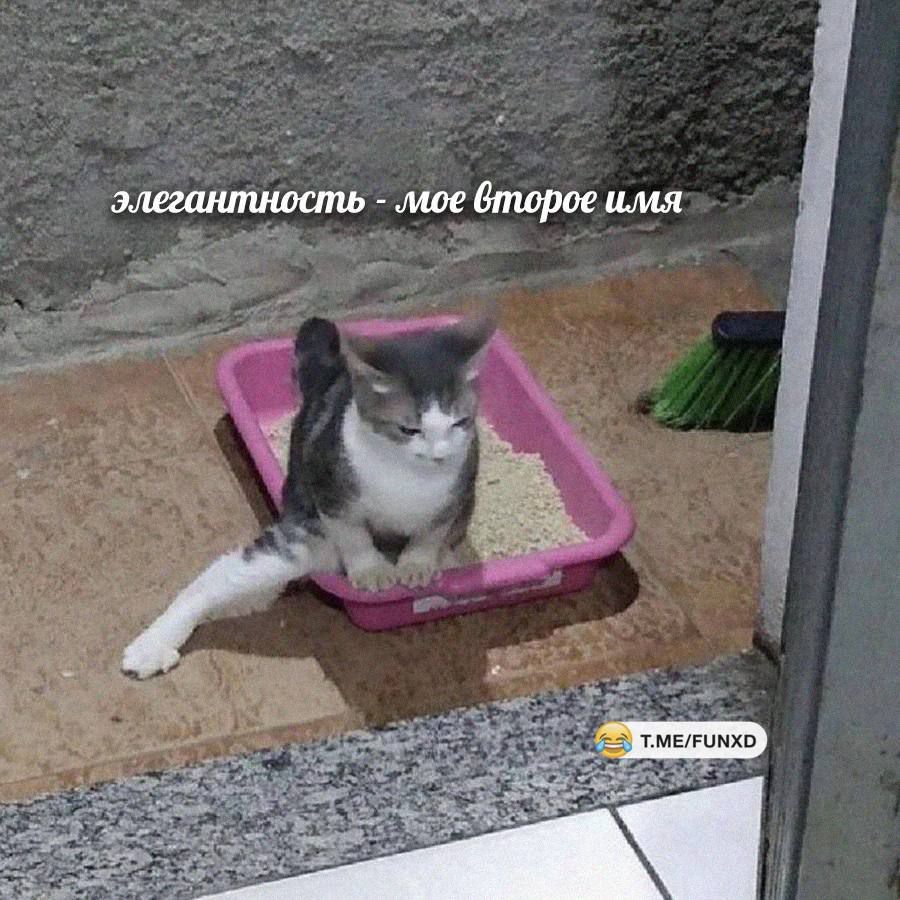 элегантность - мое второе имя