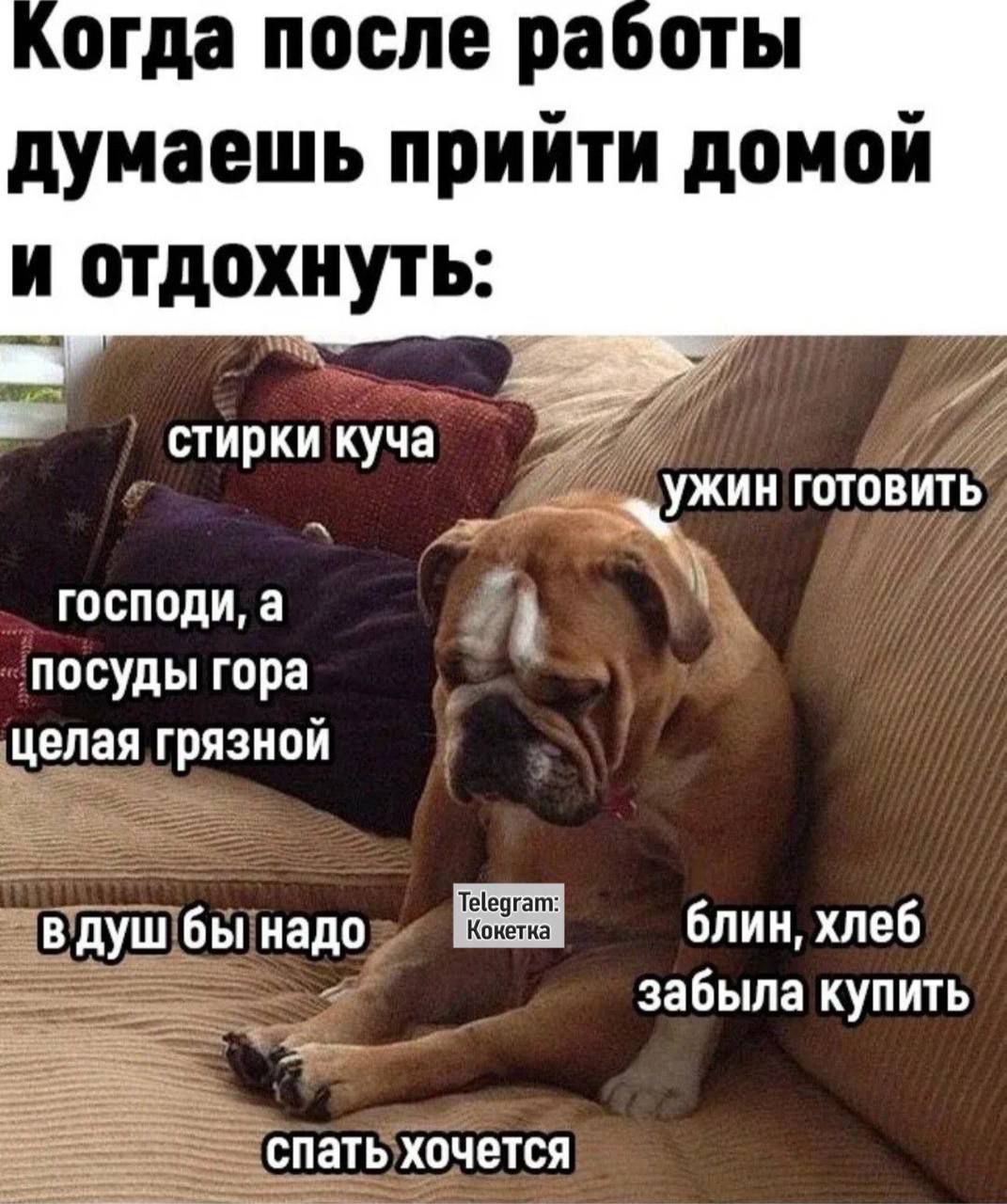 Когда после работы думаешь прийти домой и отдохнуть:
stирки куча
господи, а посуды гора
ужин готовить
блин, хлеб забыла купить
спать хочется
Telegram: Контакт