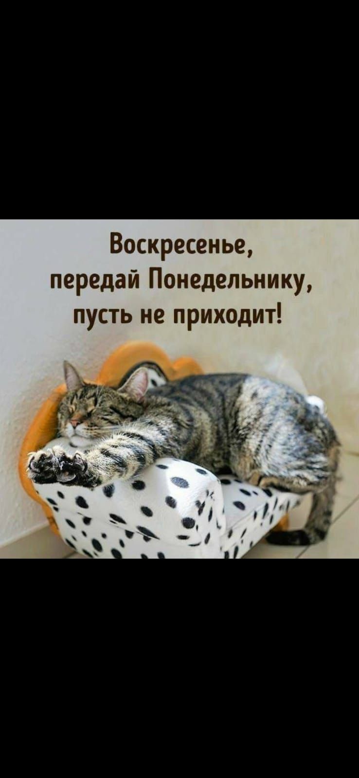 Воскресенье, передай Понедельнику, пусть не приходит!