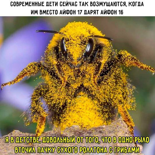 СОВРЕМЕННЫЕ ДЕТИ СЕЙЧАС ТАК ВОЗБУЖДАЮТСЯ, КОГДА ИМ ВМЕСТО IPHONE 17 ПАРЯТ IPHONE 16. Я В ДЕТСТВЕ, ПОВОЛЬНЫЙ ОТ ТОГО, ЧТО В ОДНО РЫЛО ВТОЧИЛ ПАЧКУ СУХОГО РОЛЛТОНА С ГРИБАМИ