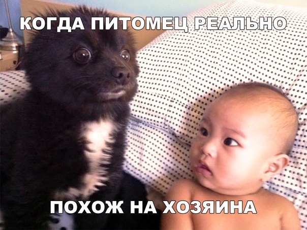 іёо ГдА П ИТ ПОХОЖ НА ХЁЗЕЁШ