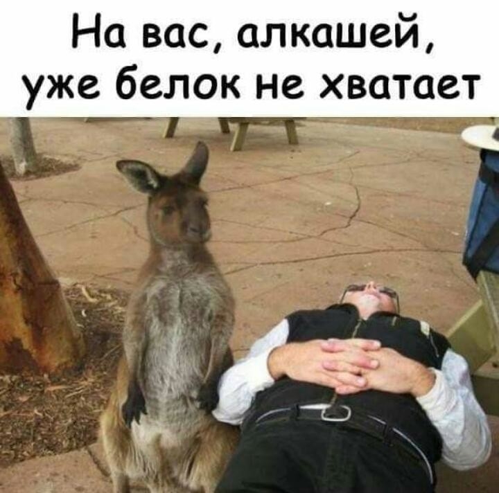 На вас алкашей уже белок не хватает