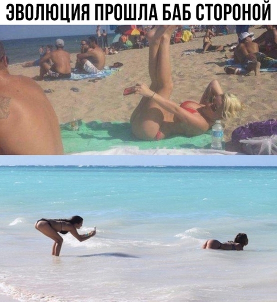 ЭВОЛЮЦИЯ ПРОШЛА БАБВТОРОНОЙ