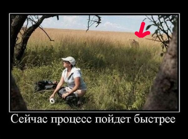Сейчас процесс пойдет быстрее