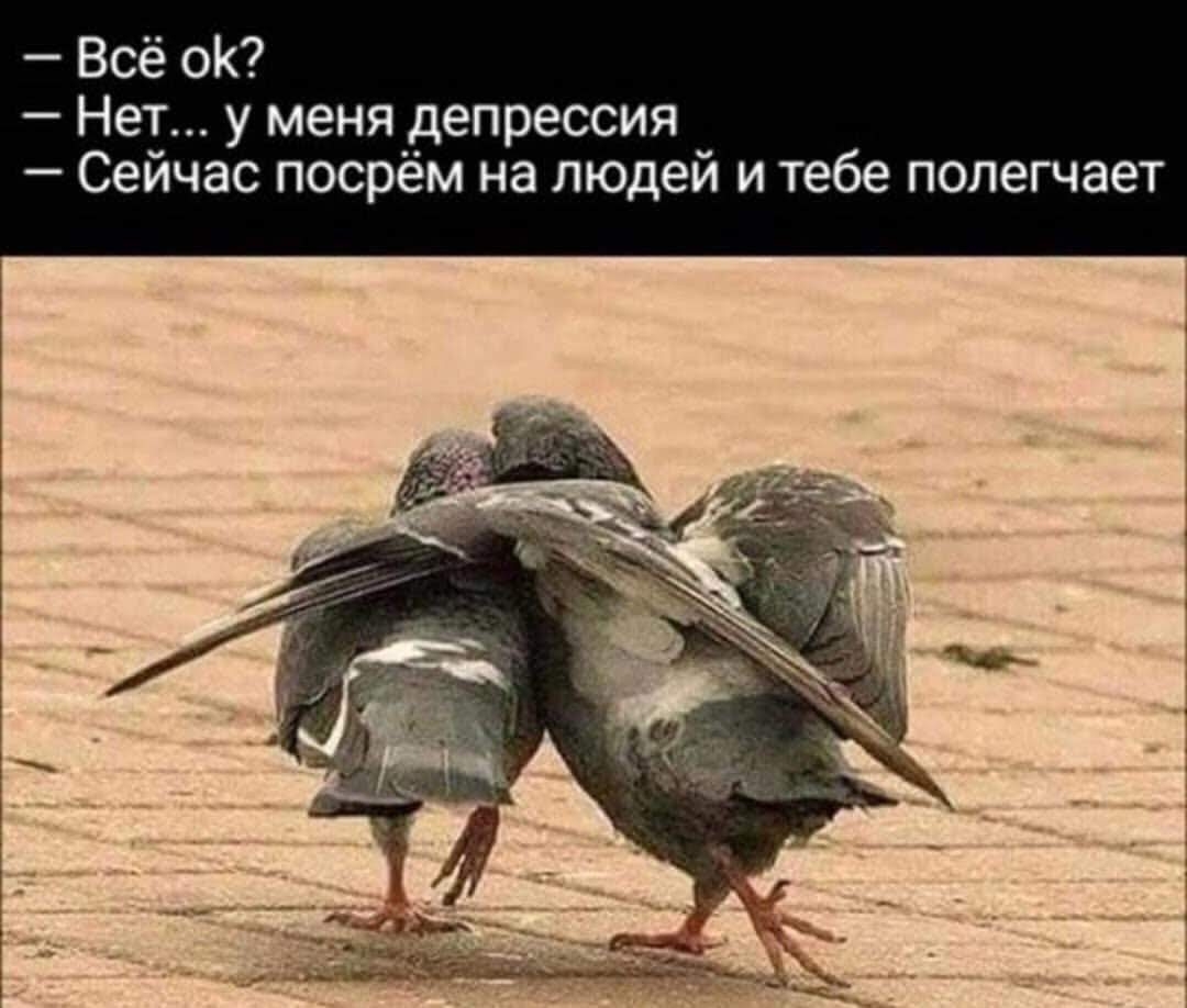 Всё ОК Нет у меня депрессия Сейчас посрём на людей и тебе полегчает