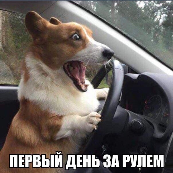 ПЕРВЫЙ ЛЕНЬ зп РУЛЕМ
