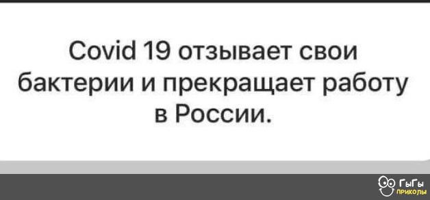 Соуісі 19 отзывает свои бактерии и прекращает работу в России